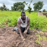 Kebba planting