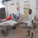 Youth transporting the materials to the construction site