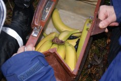 Vi fick bananer av spökena när vi hittade fram