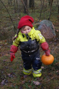 Jag hittade den sista pumpan efter pumpastigen