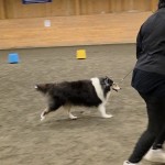 571994882_26060639270193290_5498784824790016836_n