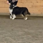 570615818_26060637873526763_5879740777935825556_n