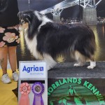 488865536_24311035171820384_6225139848131227065_n