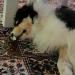 514650185_25007030952220799_5880793922822991845_n