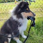 515503783_25007030508887510_177832071327292234_n