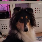 535403371_25416440327946524_2932504290419544199_n