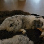 8ef0b51f-bad7-4736-8326-cf73ea744b60