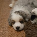 5422b7a6-d53f-457d-be3e-fba377e78ebd