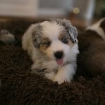 f5a4587f-62f5-4c6c-8c85-508c2b85e52f