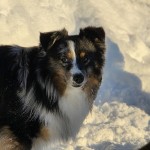 641688037_27173316302258909_7639272213336758011_n