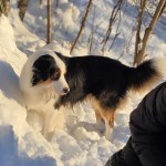 643492842_27173315478925658_1475768822496826590_n