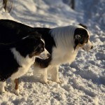 643305742_27173314912259048_8419900744733997110_n