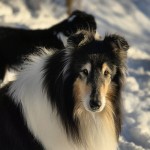 643412947_27173316765592196_5592985855831083957_n