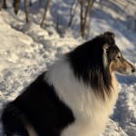 643365449_27173317218925484_4530964977738758035_n