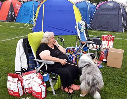 Lucy, alla priser på collie special piteå 2016, svärmor Lucy, alla priser på collie special piteå 2016, svärmor