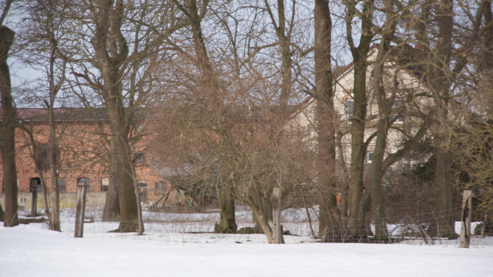 Foto: Carl Hofman-Bang, 2010 Foto: Carl Hofman-Bang, 2010