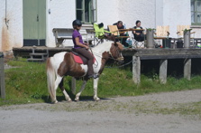 Lena och Fengur i början på en vändning med hjälp av att ta med axlarna. Väldigt intressant att se hur de blev hjälpta av Angelicas tips! Lena och Fengur i början på en vändning med hjälp av att ta med axlarna. Väldigt intressant att se hur de blev hjälpta av Angelicas tips!