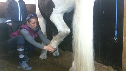 Anna V och Pinto stretchar bakben Anna V och Pinto stretchar bakben