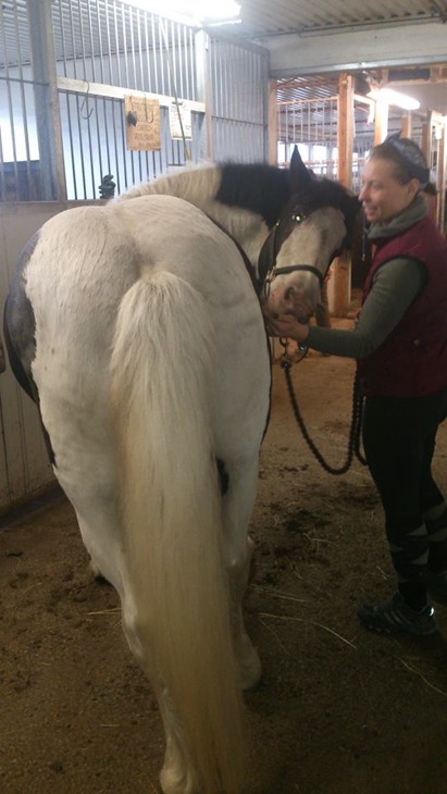 Anna V och Pinto, morotsstretch. Anna V och Pinto, morotsstretch.