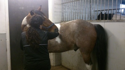 Anna K och Berry Anna K och Berry