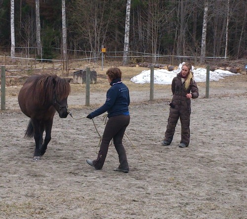 Karin och Ör jobbar fokuserat Karin och Ör jobbar fokuserat