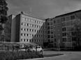 blackeberg blackeberg
