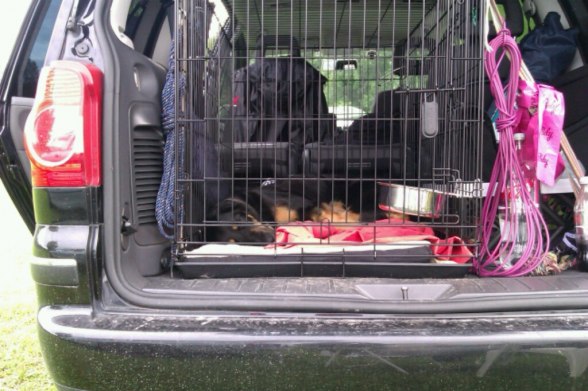 Ella sover numera i bilen. Ella sover numera i bilen.
