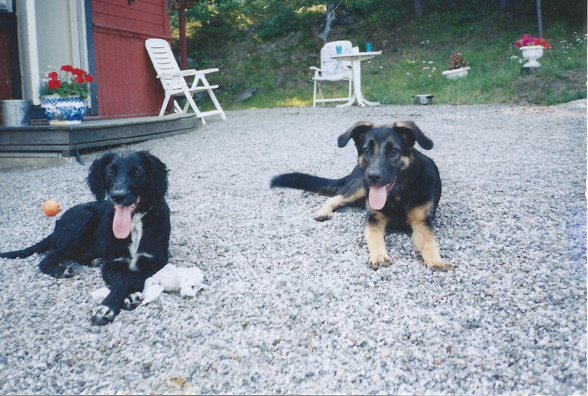 Moa och Keiko Moa och Keiko