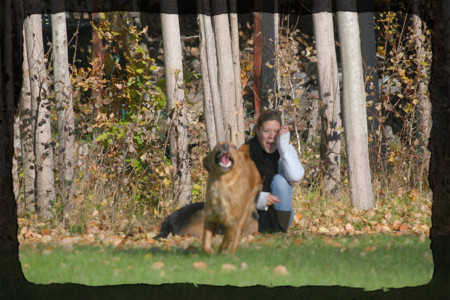 Foto: Henrik Elsberg. Siri är ca 9 månader och totalt helgalen.. <3 Foto: Henrik Elsberg. Siri är ca 9 månader och totalt helgalen.. <3