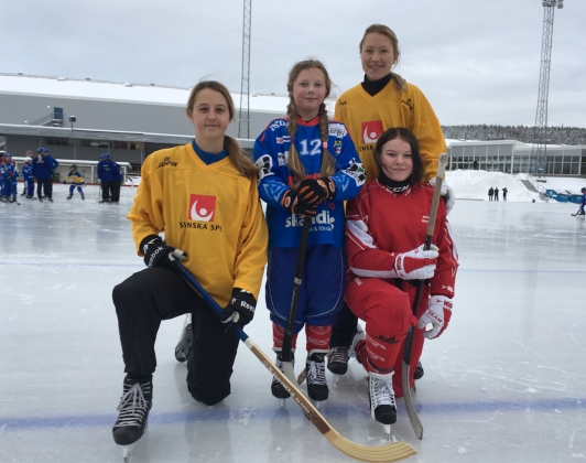 Bandygemenskap på Gärdehov. Bandygemenskap på Gärdehov.