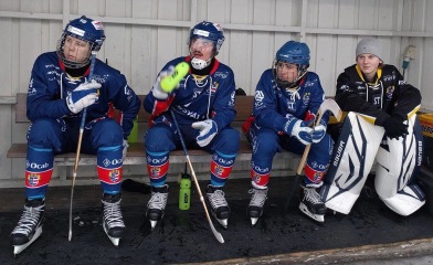 Gabbe, Frommen, Rex (född 01) och Olle Sandin (född 03). Gabbe, Frommen, Rex (född 01) och Olle Sandin (född 03).