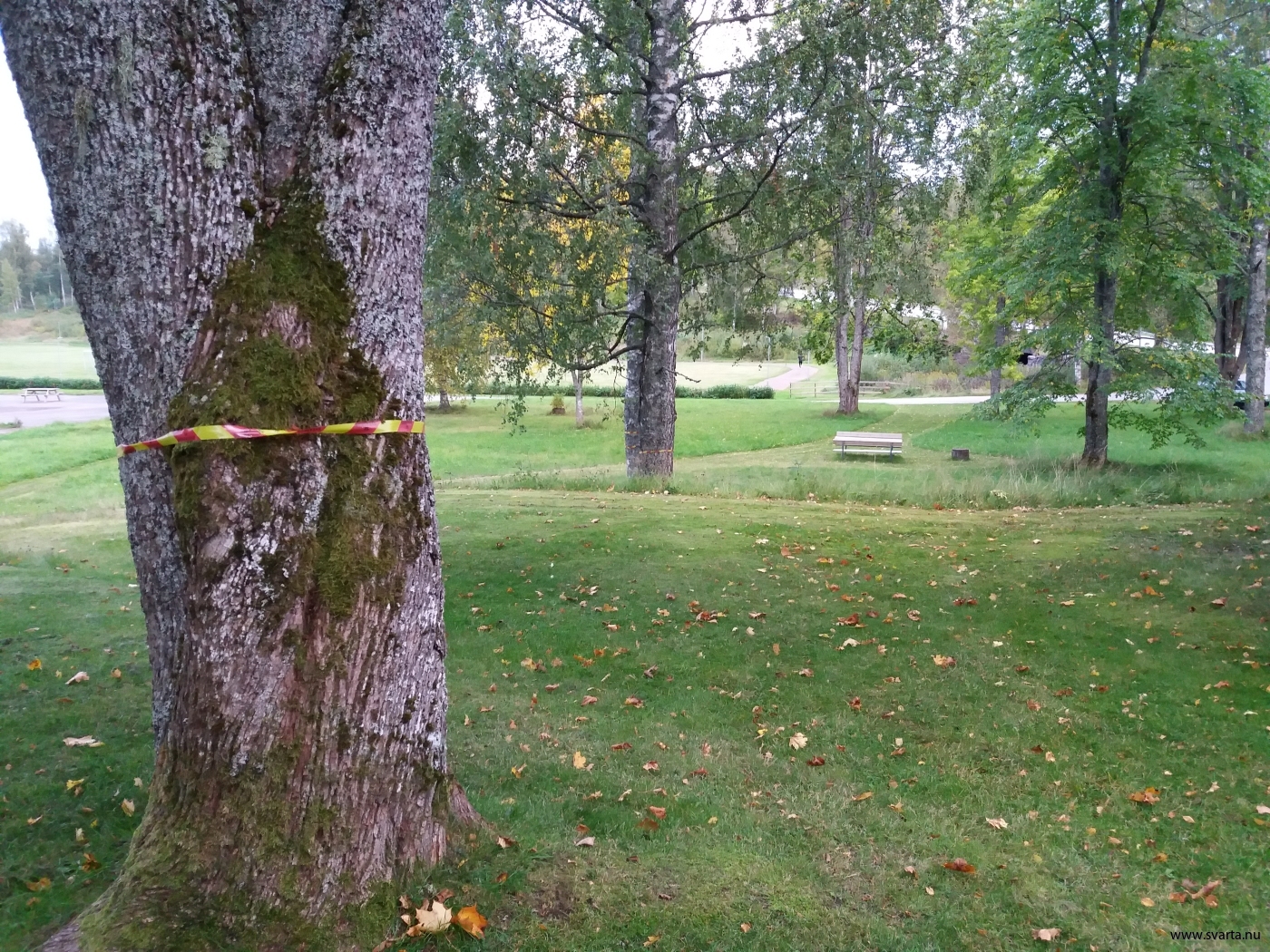 Tallen bort fran bajen Tallen bort fran bajen