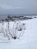 IMG_0831