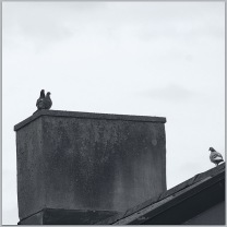 © Leif Andersson.