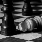Chess_CeciliaLindqvist_3_3-0024