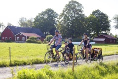 Avkopplande cykeltur för hela familjen. Foto: Region Skåne©Klara Leo
