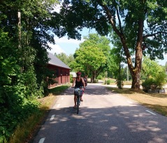 The tour takes you into the tranquil countryside with forests, lakes and meadows. Photo: HG Karlsson