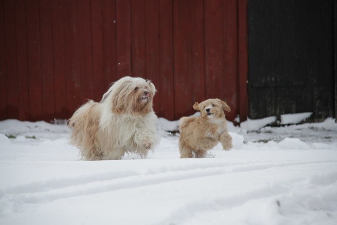 Tyris med barnbarnet Elsa