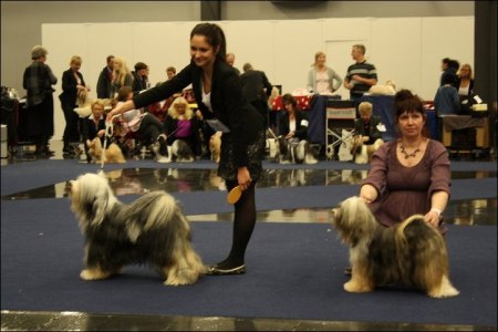 Milton winning 2 x BIR i Januari 2011 Milton winning 2 x BIR i Januari 2011