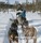 Dog-sledding-Femund-Engerdal-052009-99-0056-500