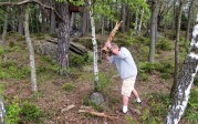 hårt arbete i skogen idag...