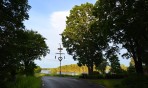 midsommarstänger finns det gått om i Dalarna...