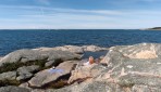 en fin dag, Särö Västerskog...