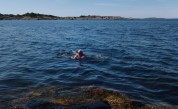 jag simmar som en vitval...