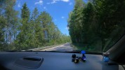 våra tur-djur håller koll på den mötande trafiken som alltid...