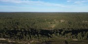 Knipeflågsbergens naturreservat...