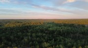 mycket skog...