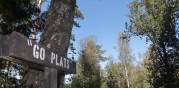 "Go plats"... finns många...