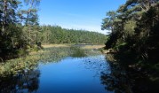 Kroksjön, Risveden...