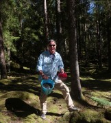 Blåbärskungen i Risvedskogarna...